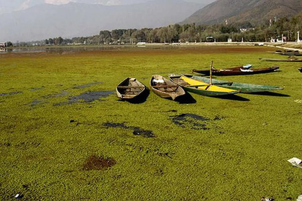 Experts express concern over deteriorating environment of Kashmir