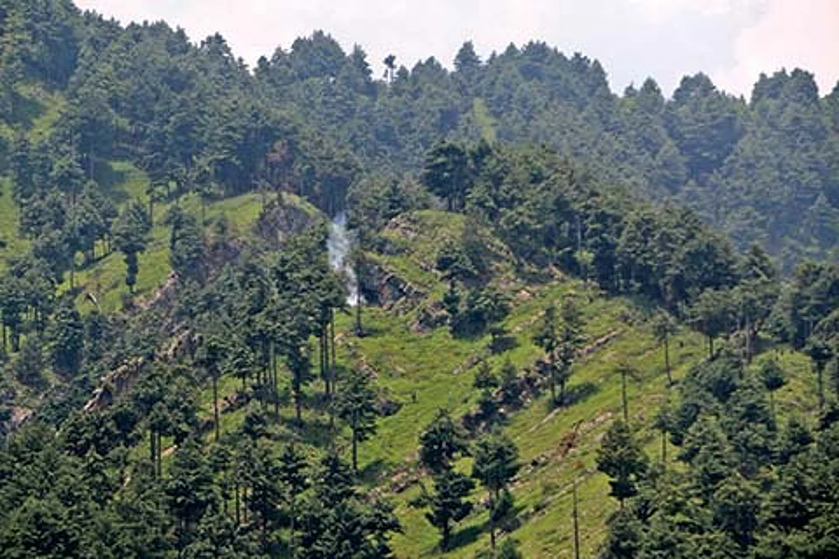 3 militants killed in Tral encounter