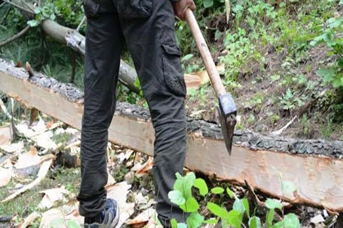 Representational Image
