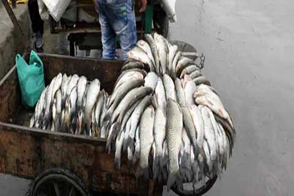 KVK Bhadarwah trains tribal youth in fish rearing