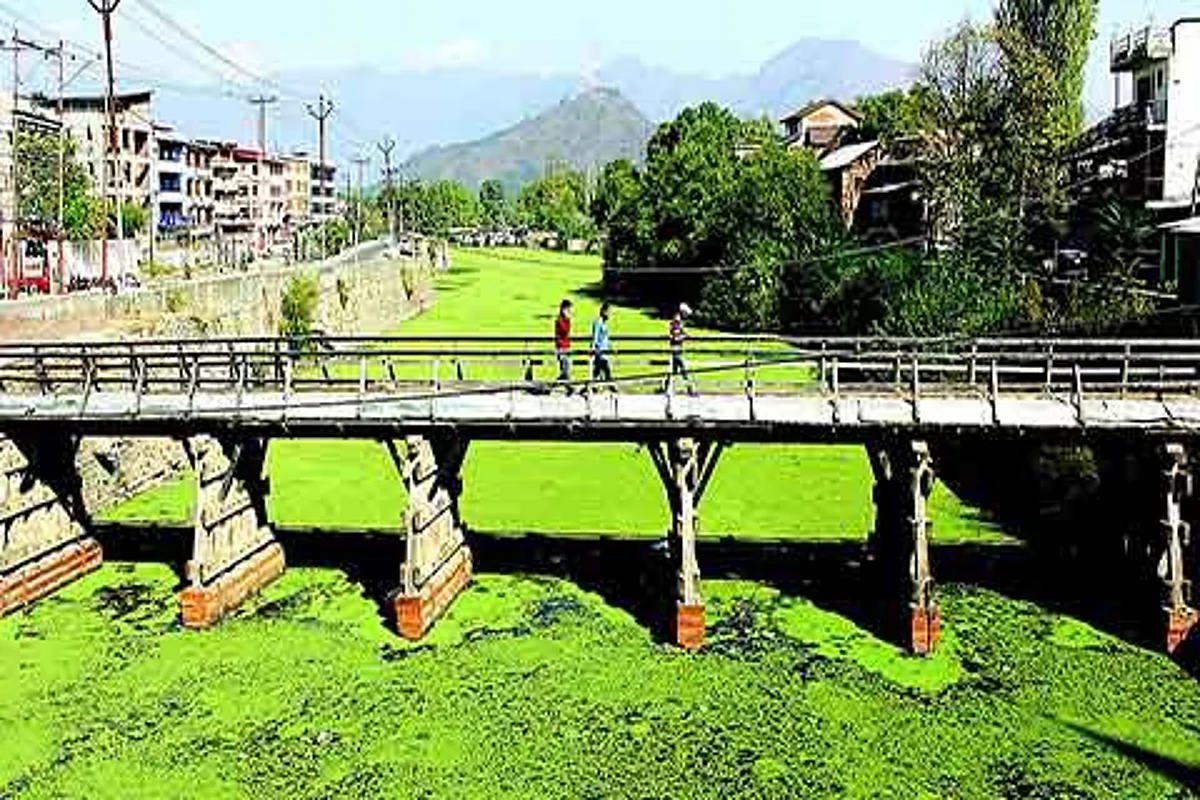 Official apathy, weeds mar Chuntkul