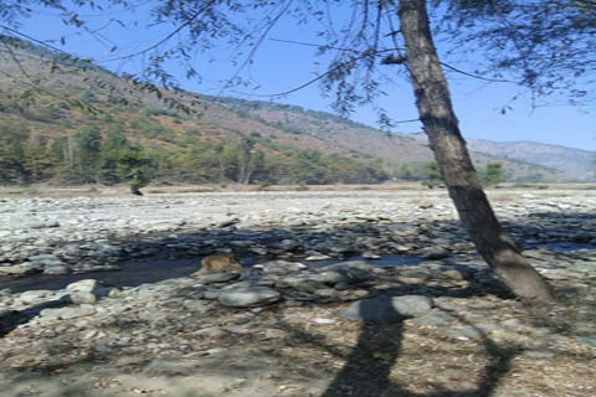 Tral search operation: Army resorts to aerial firing to disperse protesters