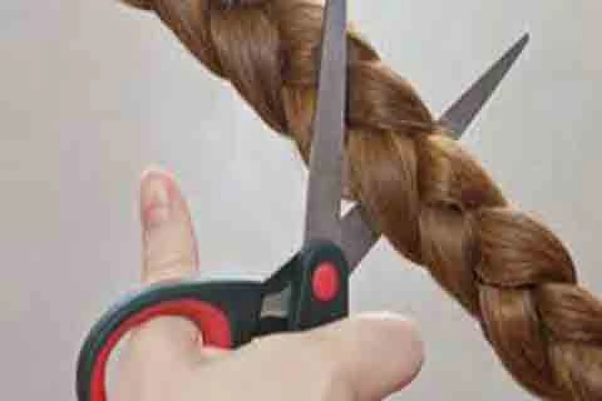 Braid chopping: Committee constituted to probe incidents in Anantnag