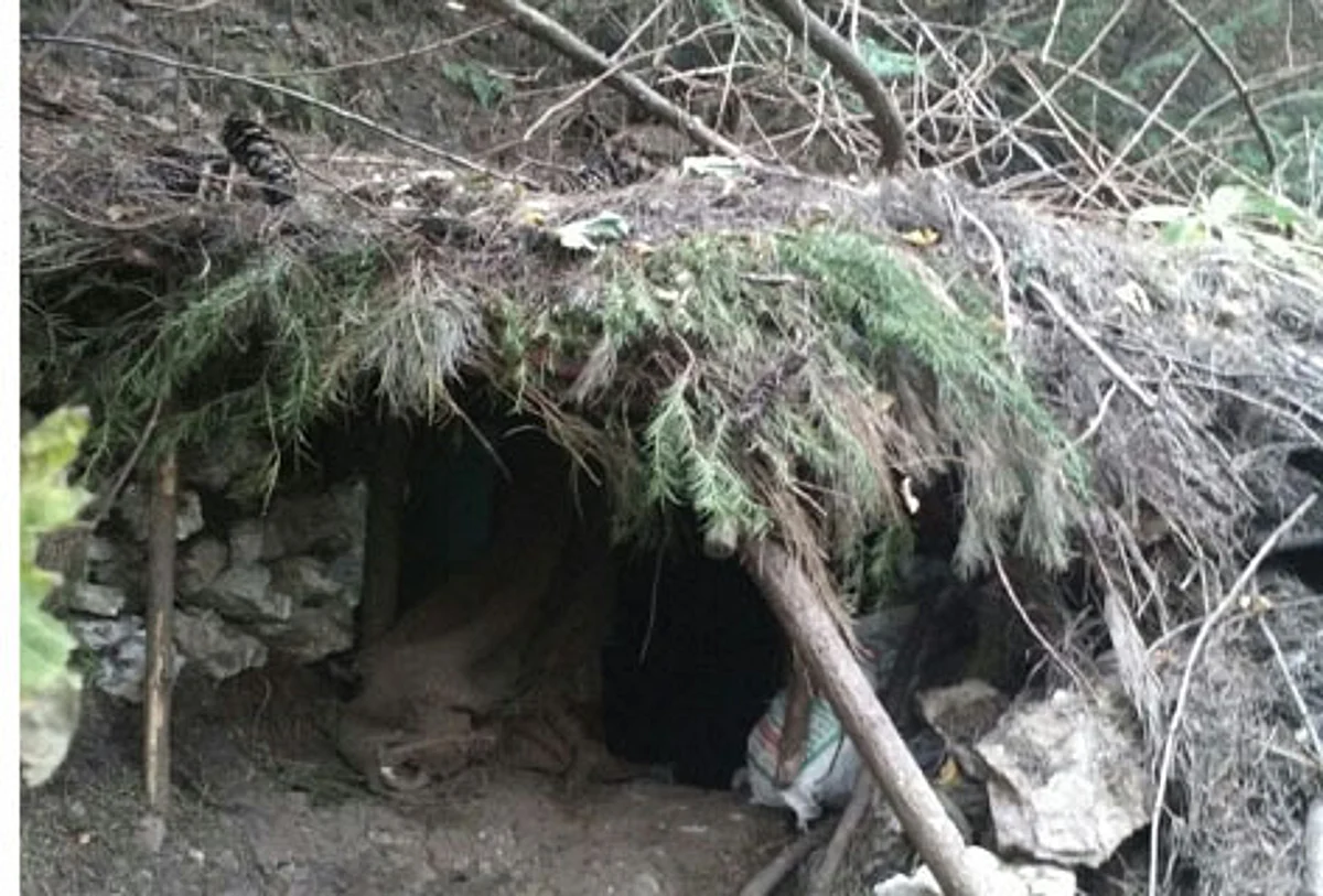 Militant hideout busted in DKG woods on Poonch-Rajouri border