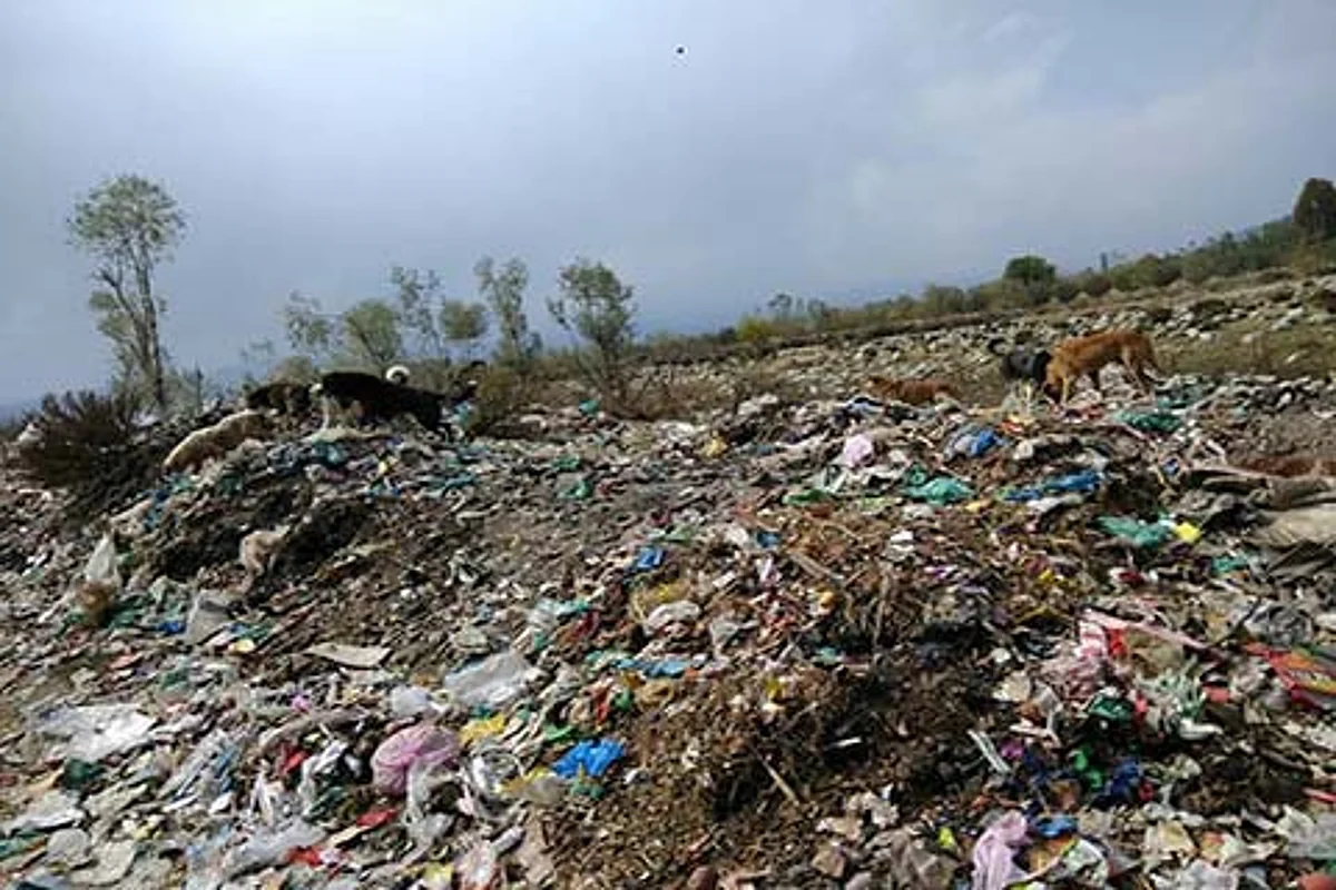 Threats to health and environment