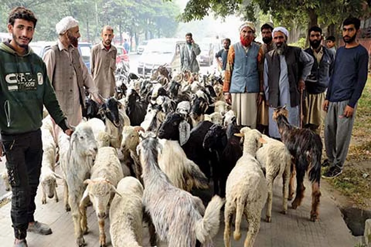 Zulfkar for comprehensive plan to relocate, rehabilitate nomads in Jammu