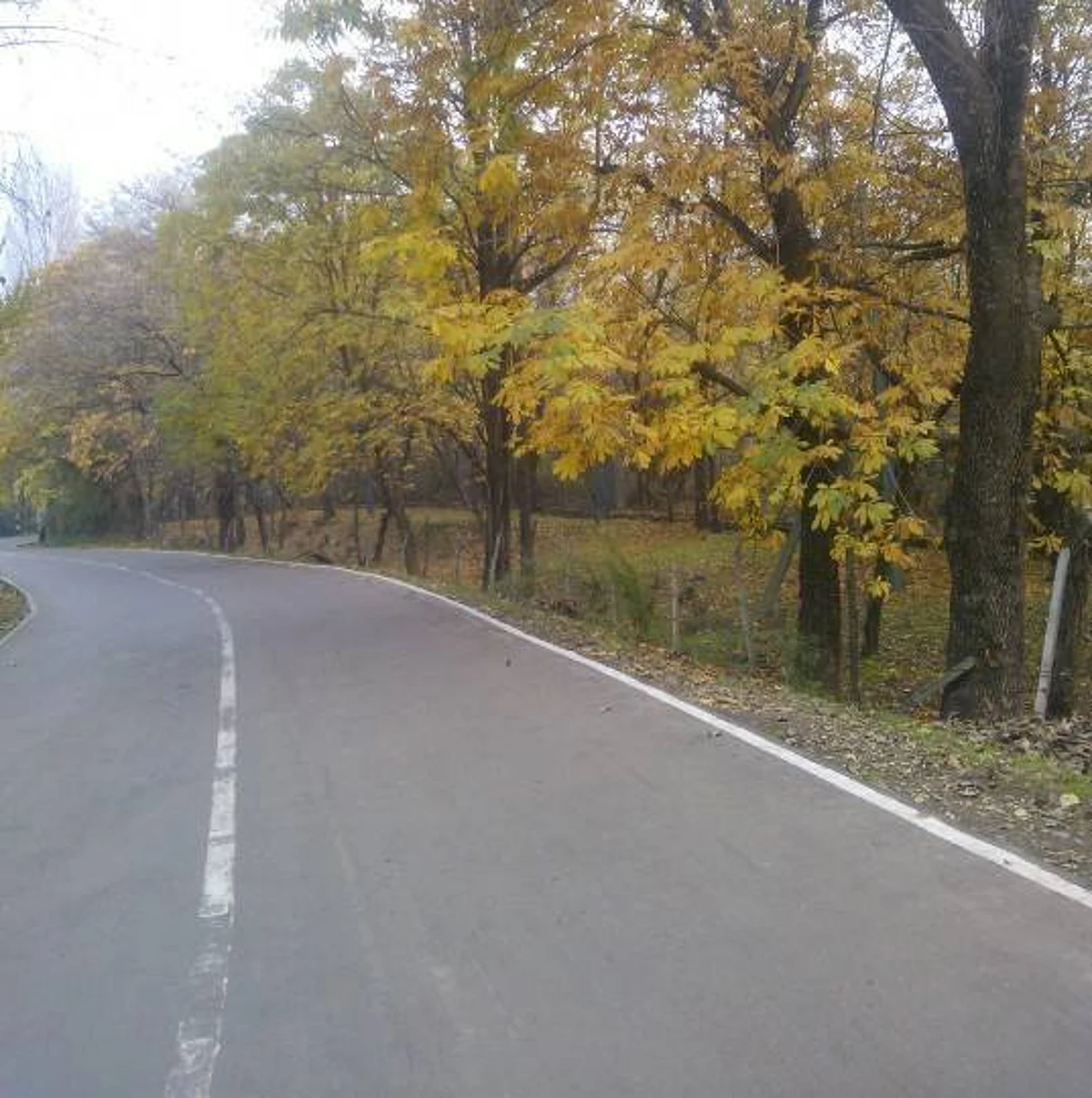 Vyas reviews progress on Jammu-Srinagar Highway, Ring Road project