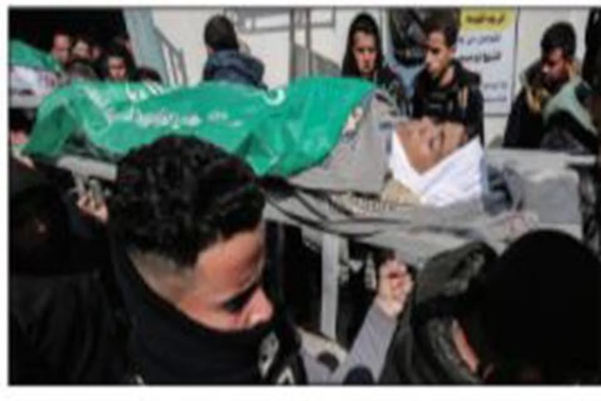 2 Palestinians killed by Israeli army