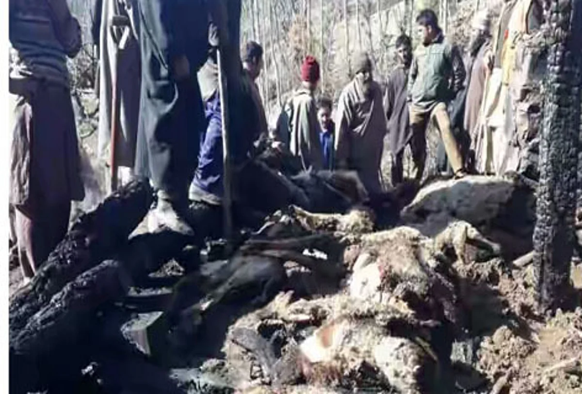North Kashmir: Dozens of livestock dead in Kupwara fire incident