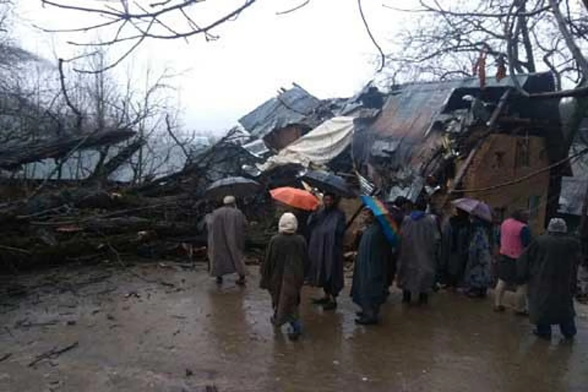 Miraculous escape for family after tree falls on house