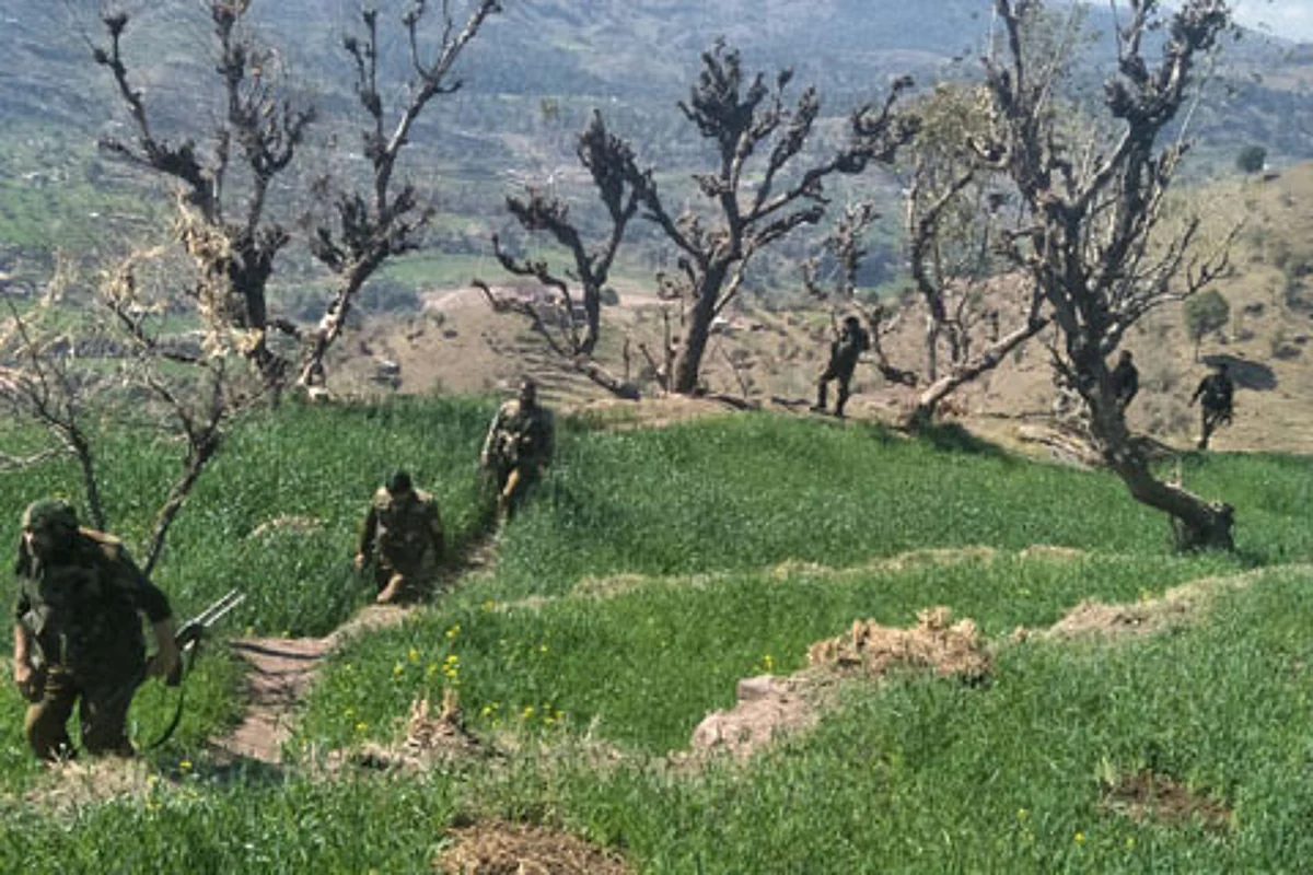 Sniffer dogs deployed to track militants in Kishtwar