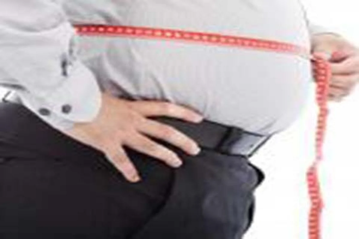 War Against Obesity – The Swapping Demons