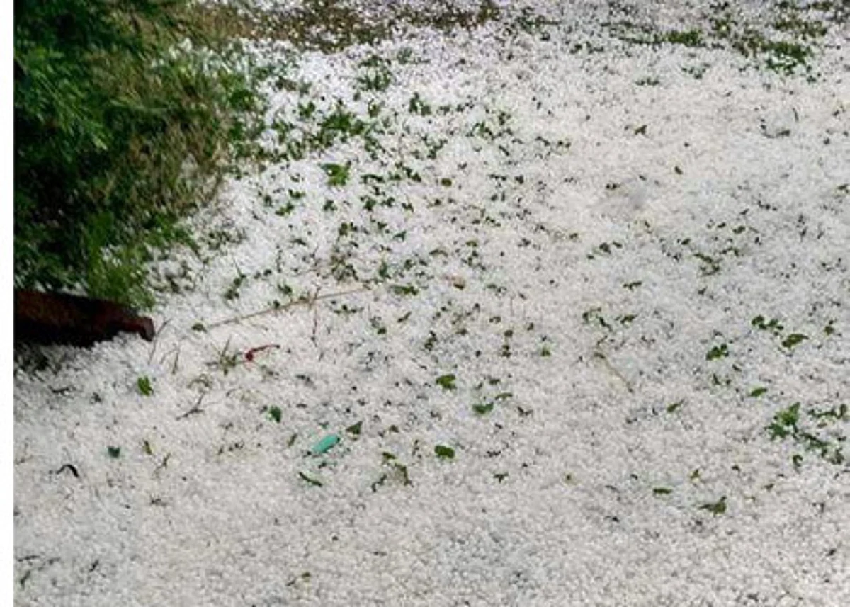 Hailstorm damages fruit crops in Kashmir parts