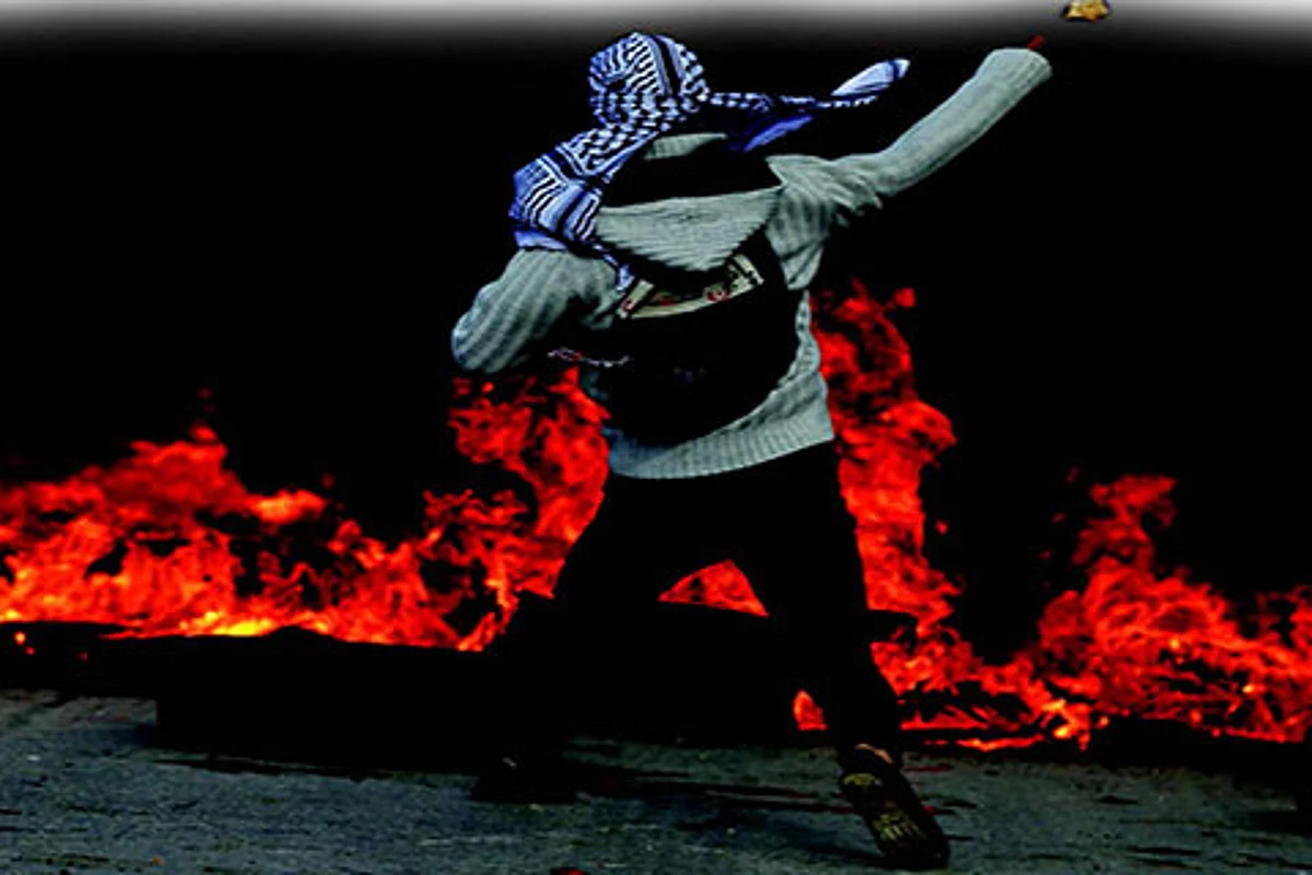 The Resilient Kashmiris!