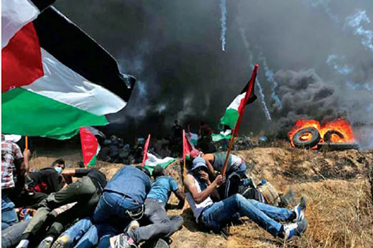 Palestine Genocide