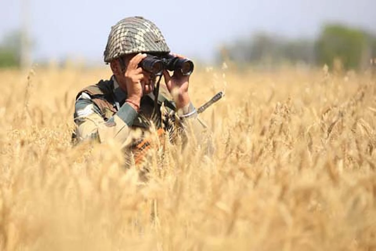 BSF demands FIR against Pak pigeon