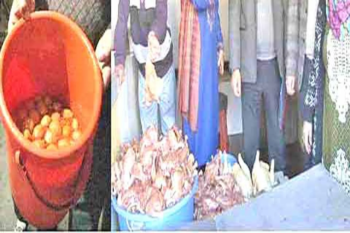 Market checking held in Budgam