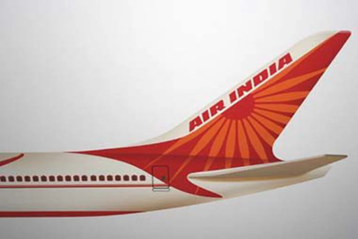 Delhi-bound AI flight suffers bird hit, returns to Patna