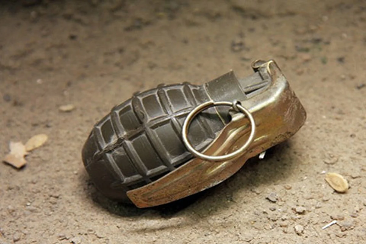 Grenade lobbed at residence of former NC MLA in Tral