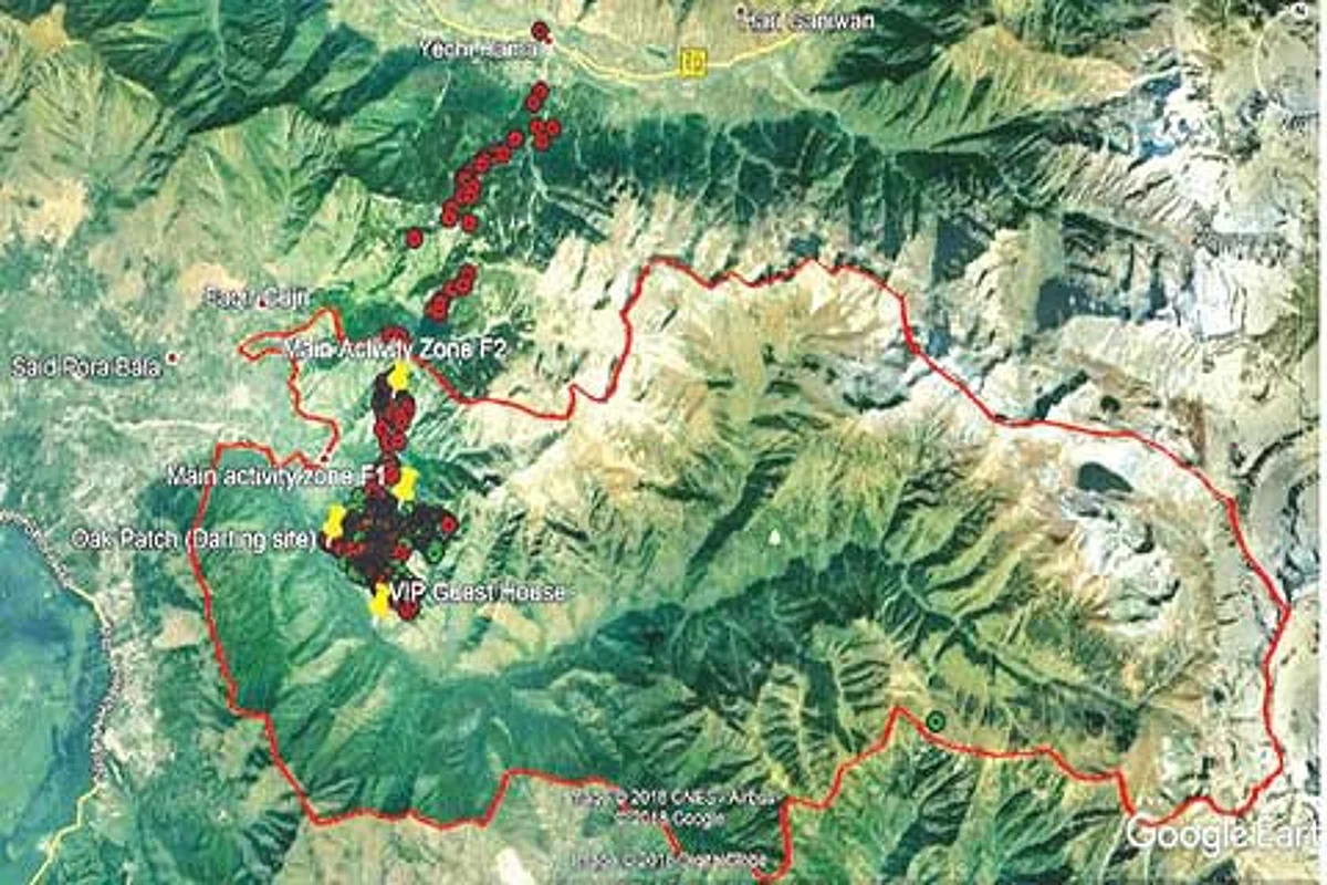 Satellite collaring traces endangered Hangul from Dachigam to Tulail