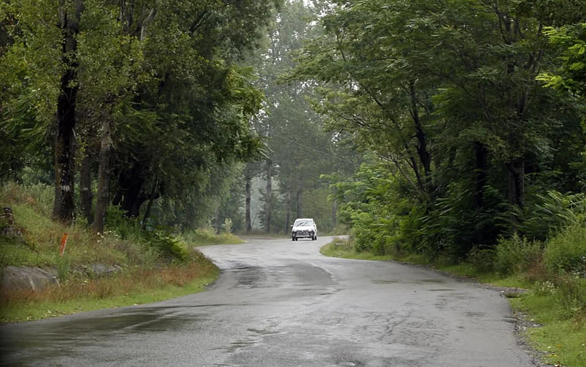 30 animal, plant species on verge of extinction in J&K