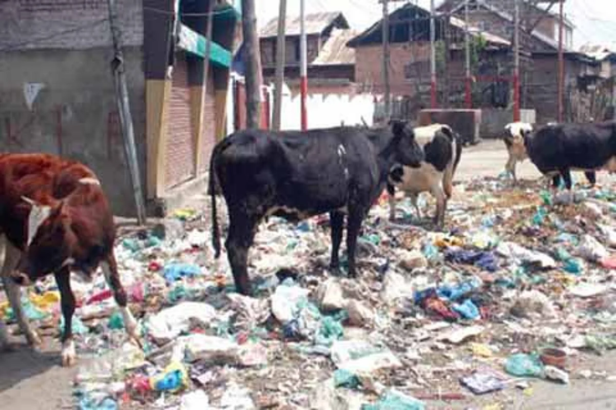 Garbage mounds take sheen off Srinagar