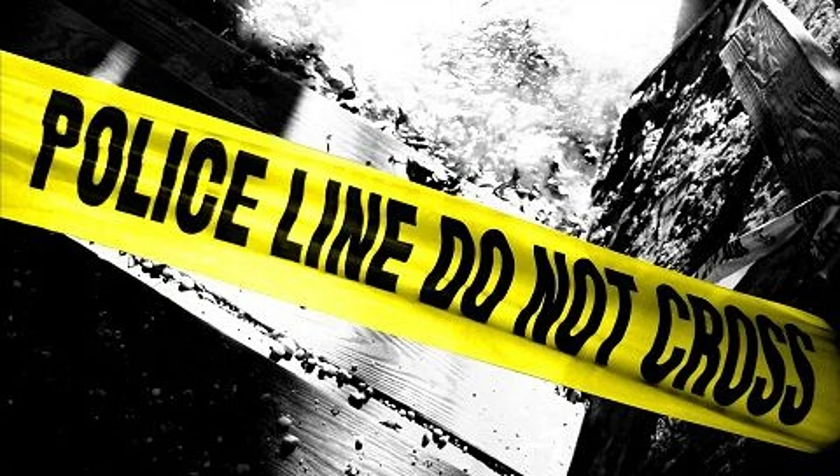 Two minor girls abducted from Shopian in south Kashmir rescued: Police