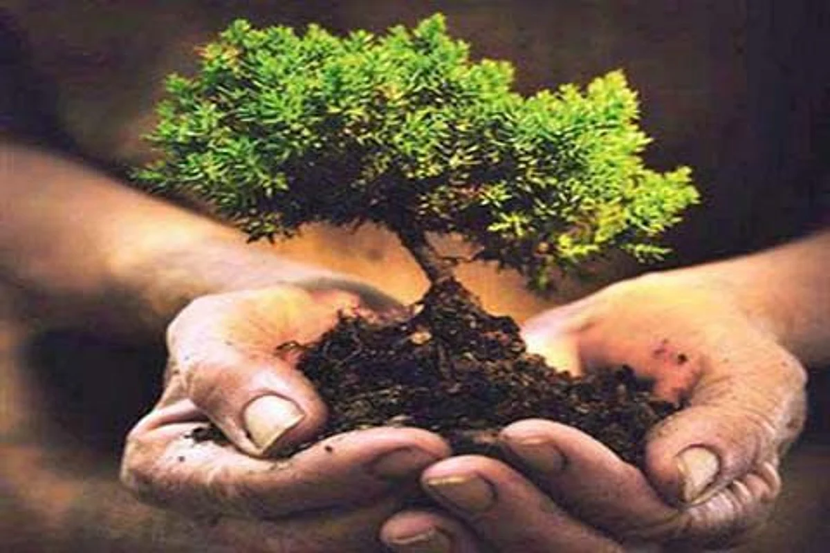 BJYM urges people to plant trees for protecting environment