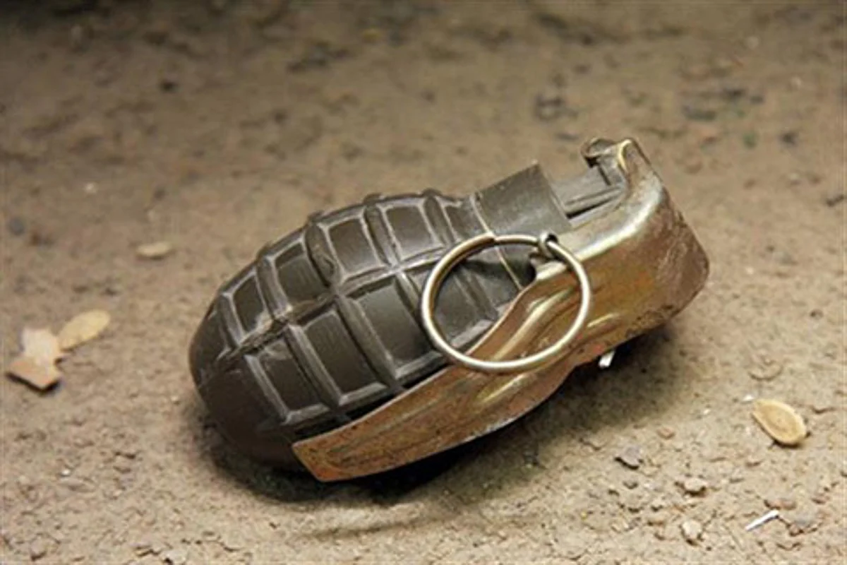South Kashmir: CRPF man injured in Tral grenade blast
