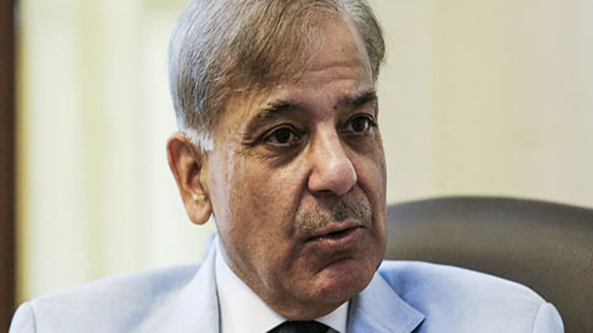 Pakistan Prime Minister Shehbaz Sharif