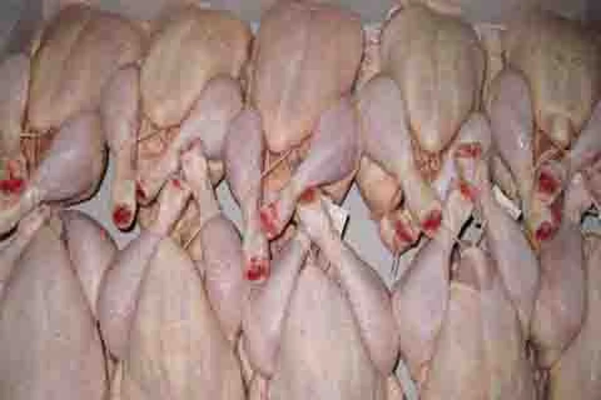 Policy lacks mention of ban on import of dressed chicken, say poultry farmers