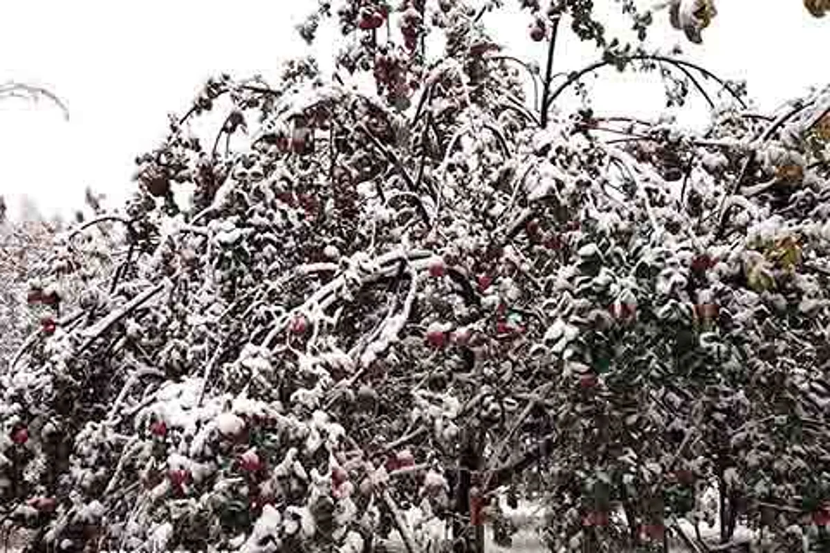 Snow hits hard