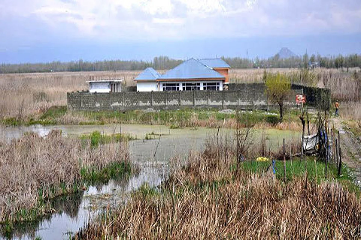 Protect the Narkara wetland