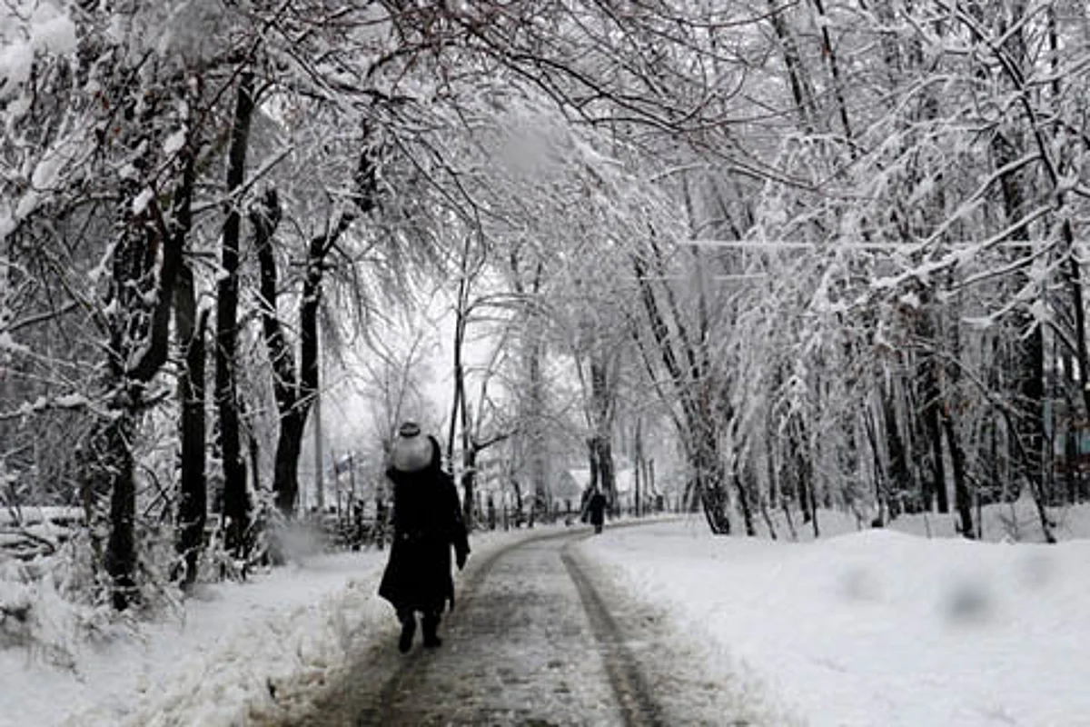 Heavy snow in Kashmir, roads closed, flights cancelled