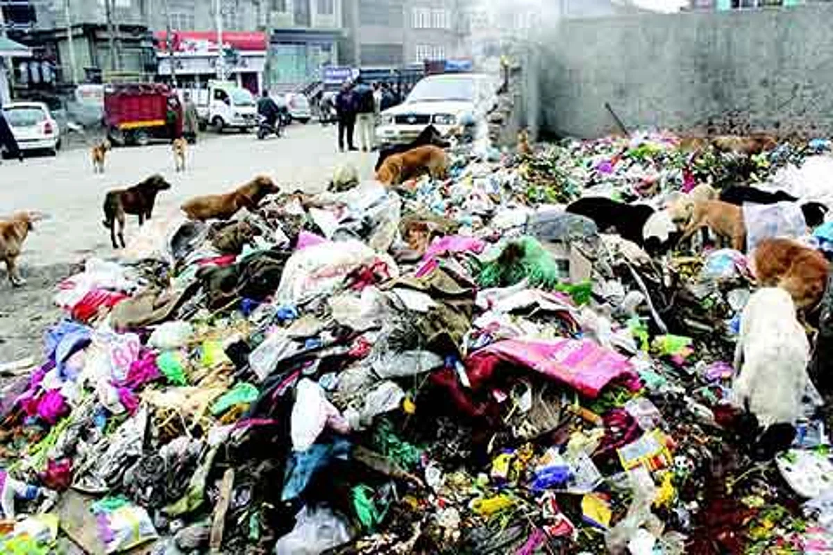 Summer capital lacks solid waste management infrastructure: Survey