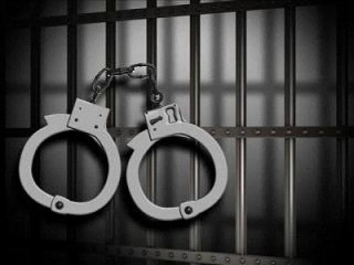 Two Jaish associates arrested in south Kashmir's Pulwama: police