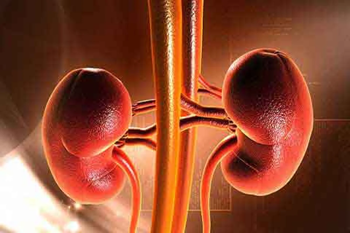 Women generous, men stingy as kidney donors