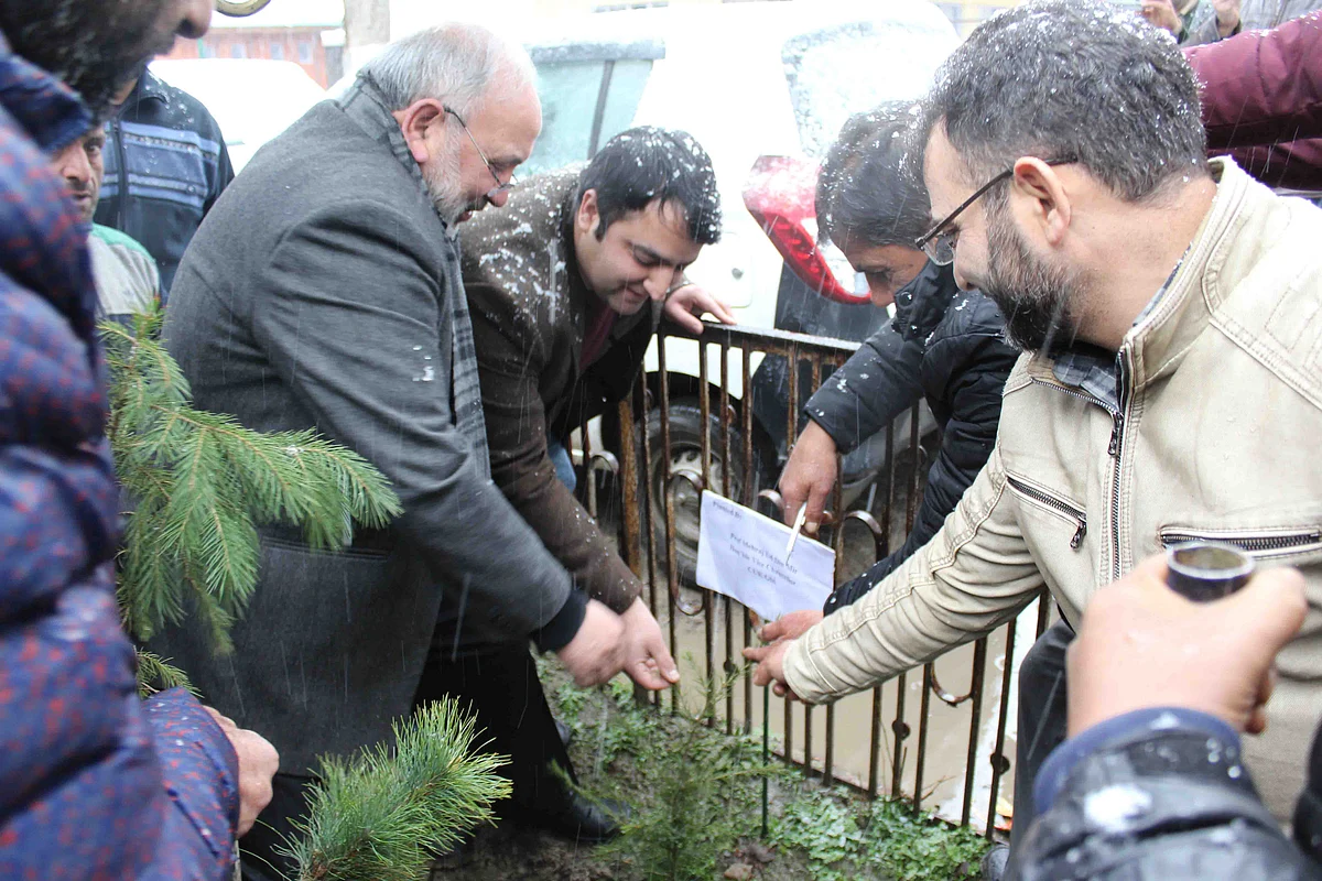 CUK V-C launches plantation drive in varsity
