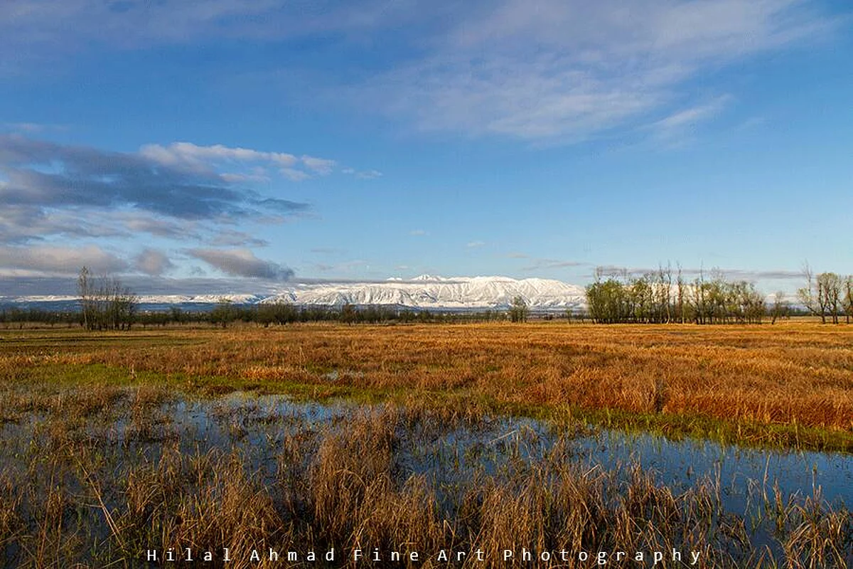 Panel to demarcate Hokersar wetland