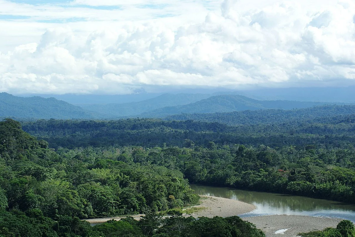 Ecuadorian Amazon rain forest. Image credit: Dallas Krentzel/ Wikipedia