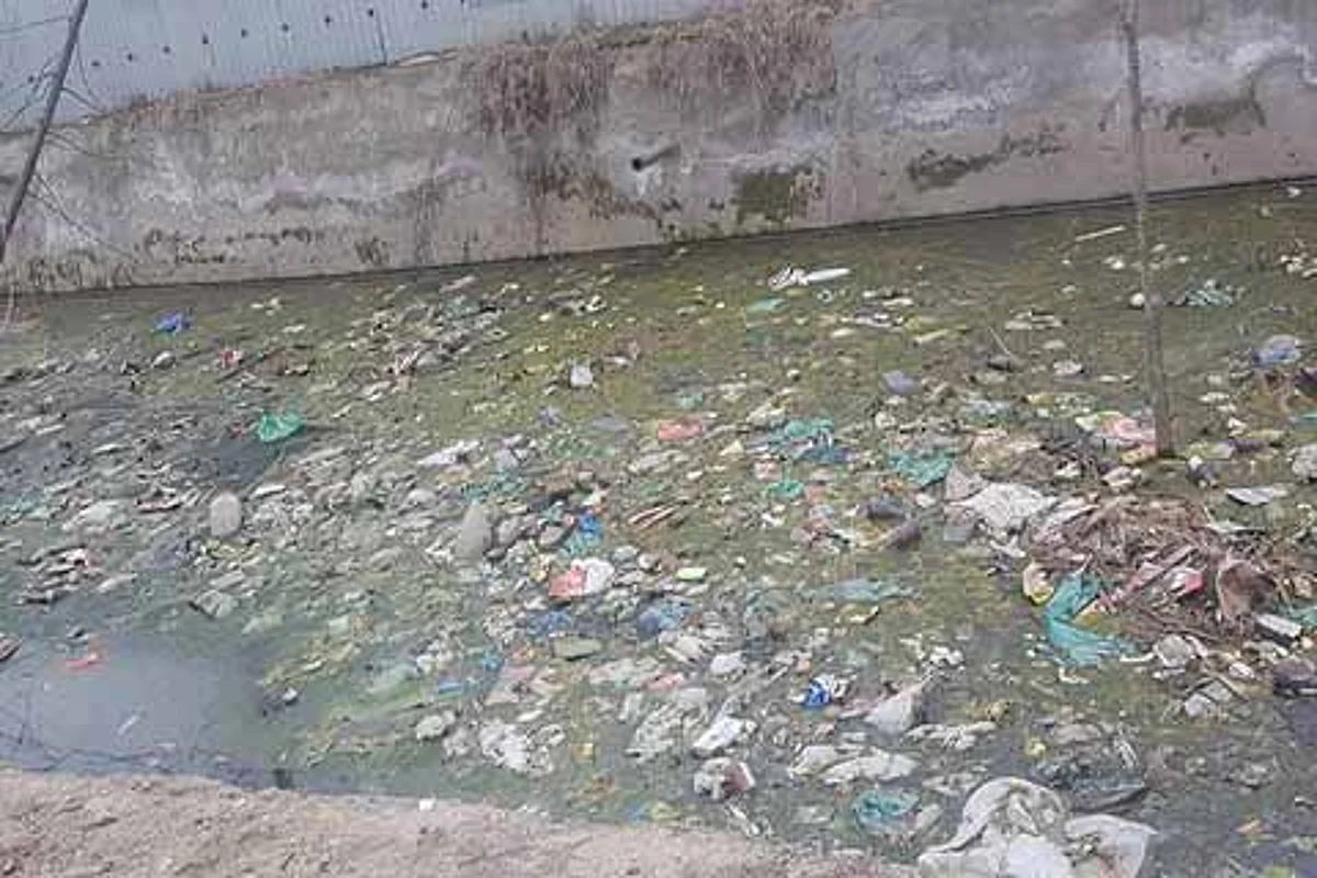 Rivers polluted due to discharge of untreated sewage: Government