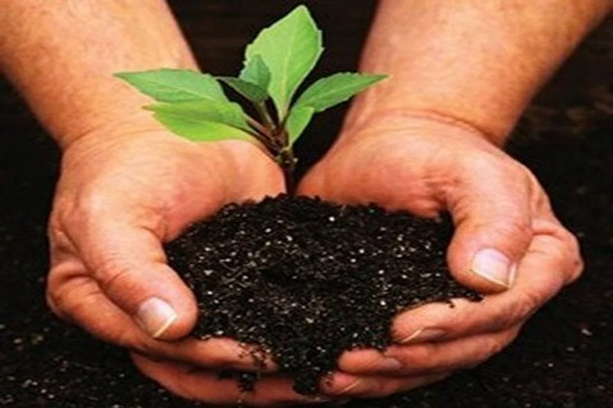 Army hold afforestation drive in Gurez Valley