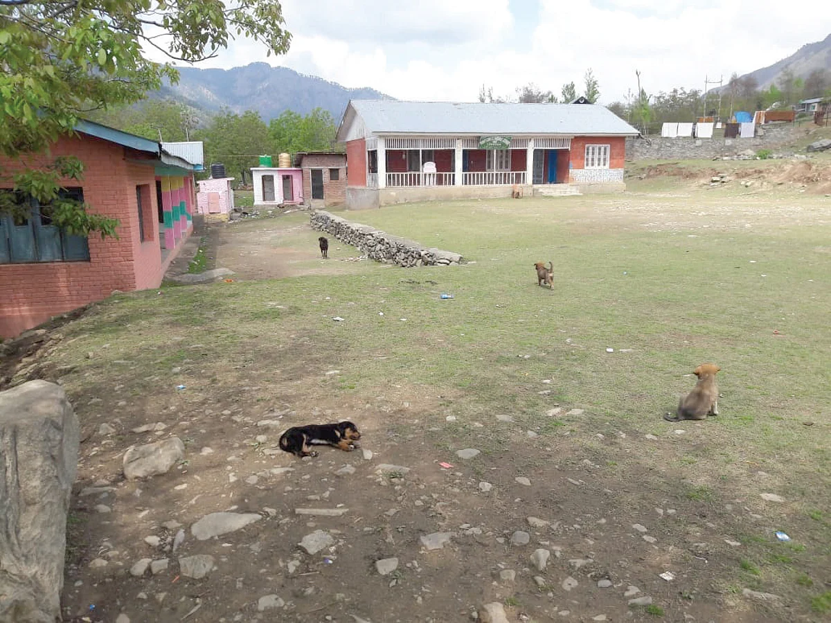 Stray dogs and cows are a constant presence in this school without a boundary wall