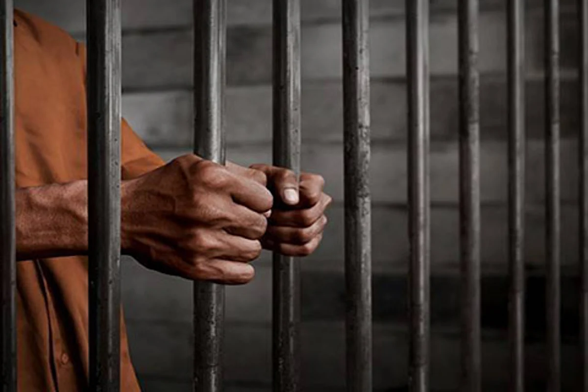 Driver ‘who ferried Hizb militants’ surrenders: BSF