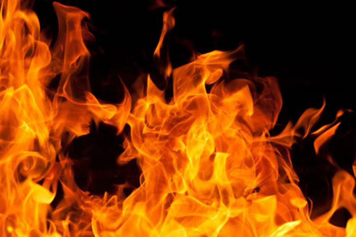 Fire breaks out at timber factory in Jammu