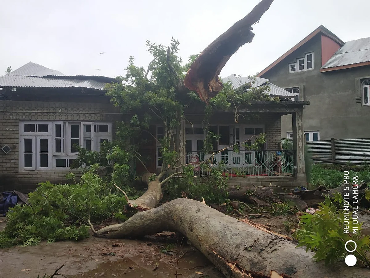 Narrow escape for family as Chinar falls on house in Tral
