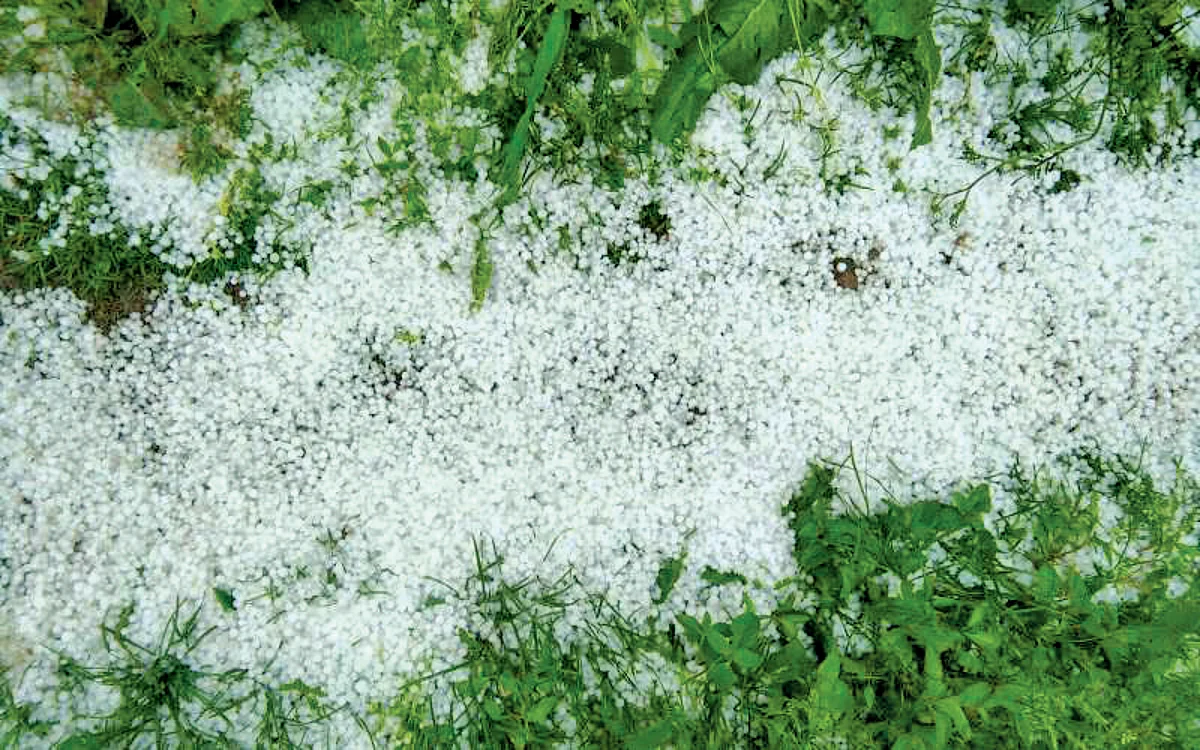 Hailstorm hits orchards in Tral villages