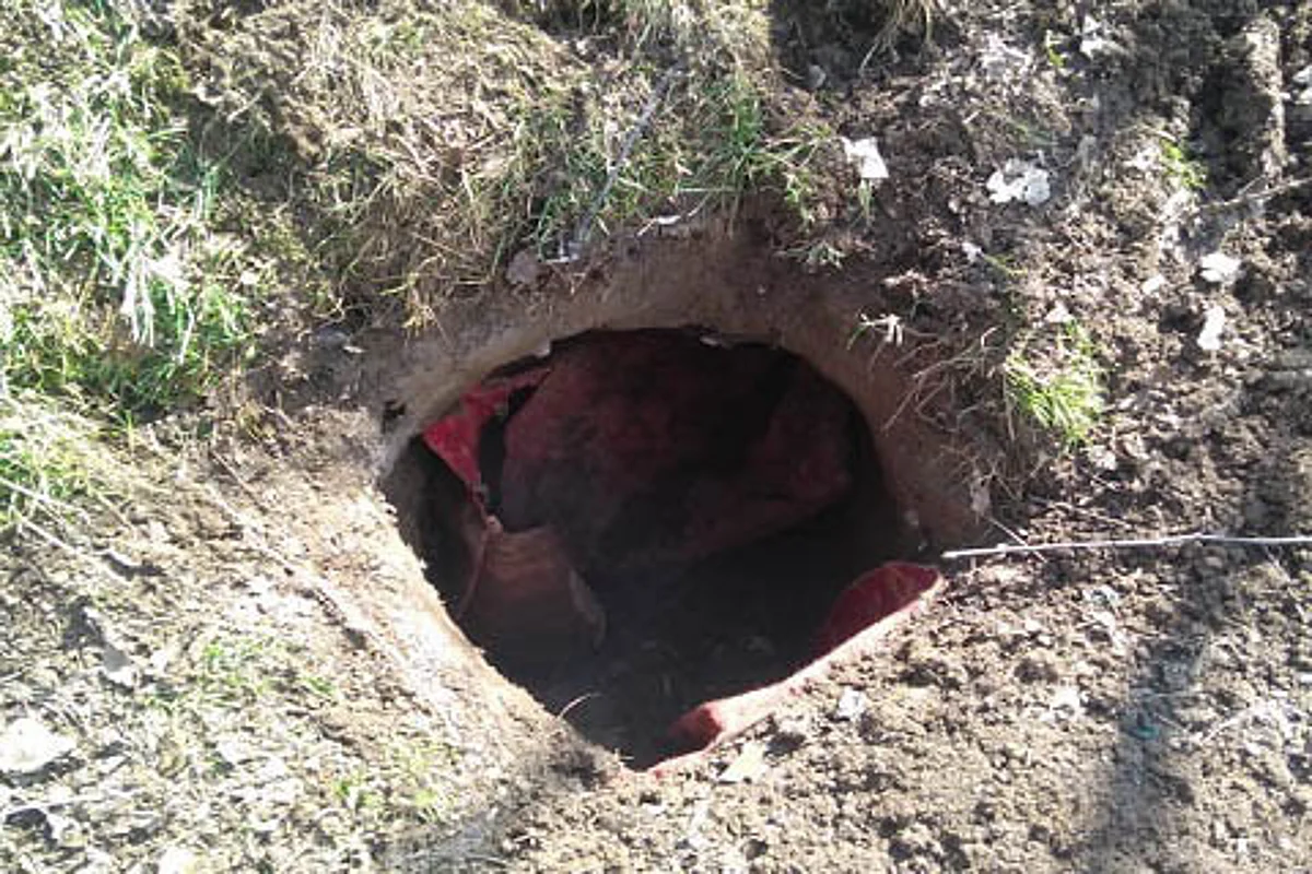 Militant hideout busted in Kishtwar: Police