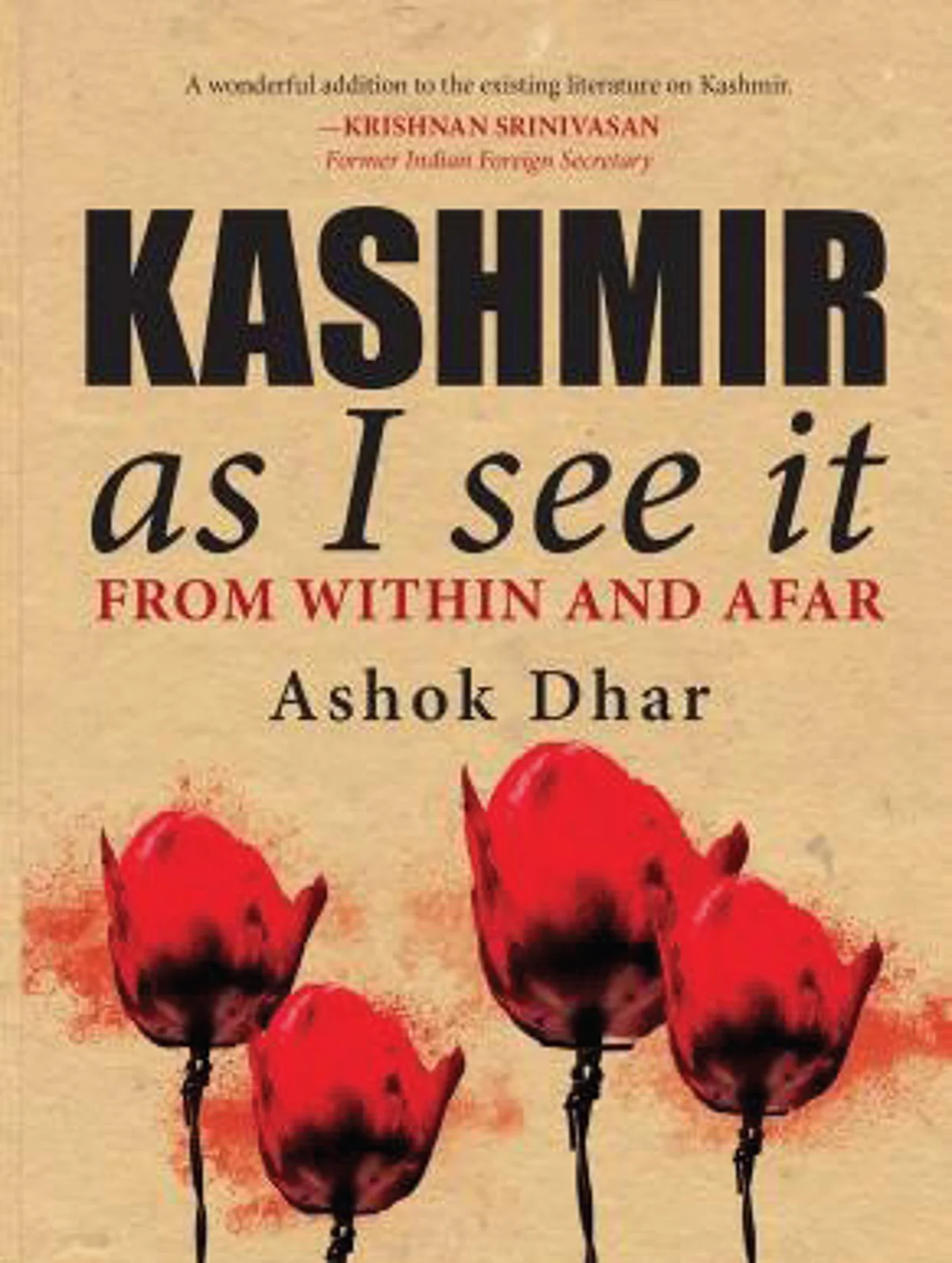 Kashmir: As I see It
