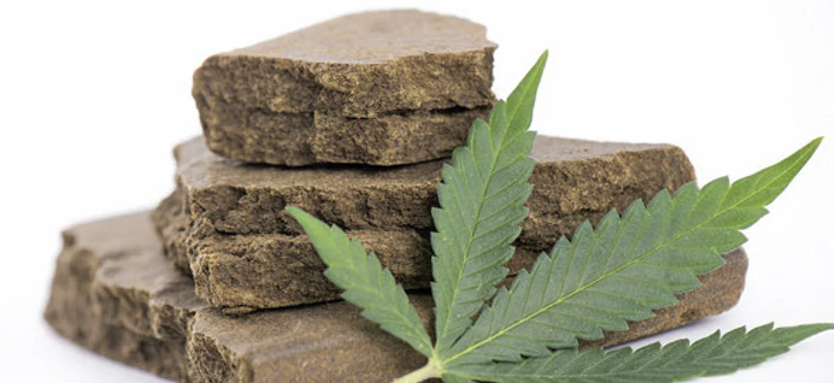 Police destroys bung cultivation in Ganderbal